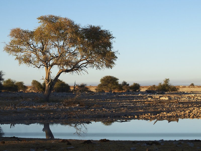 Etosha National Park, Okaukuejo